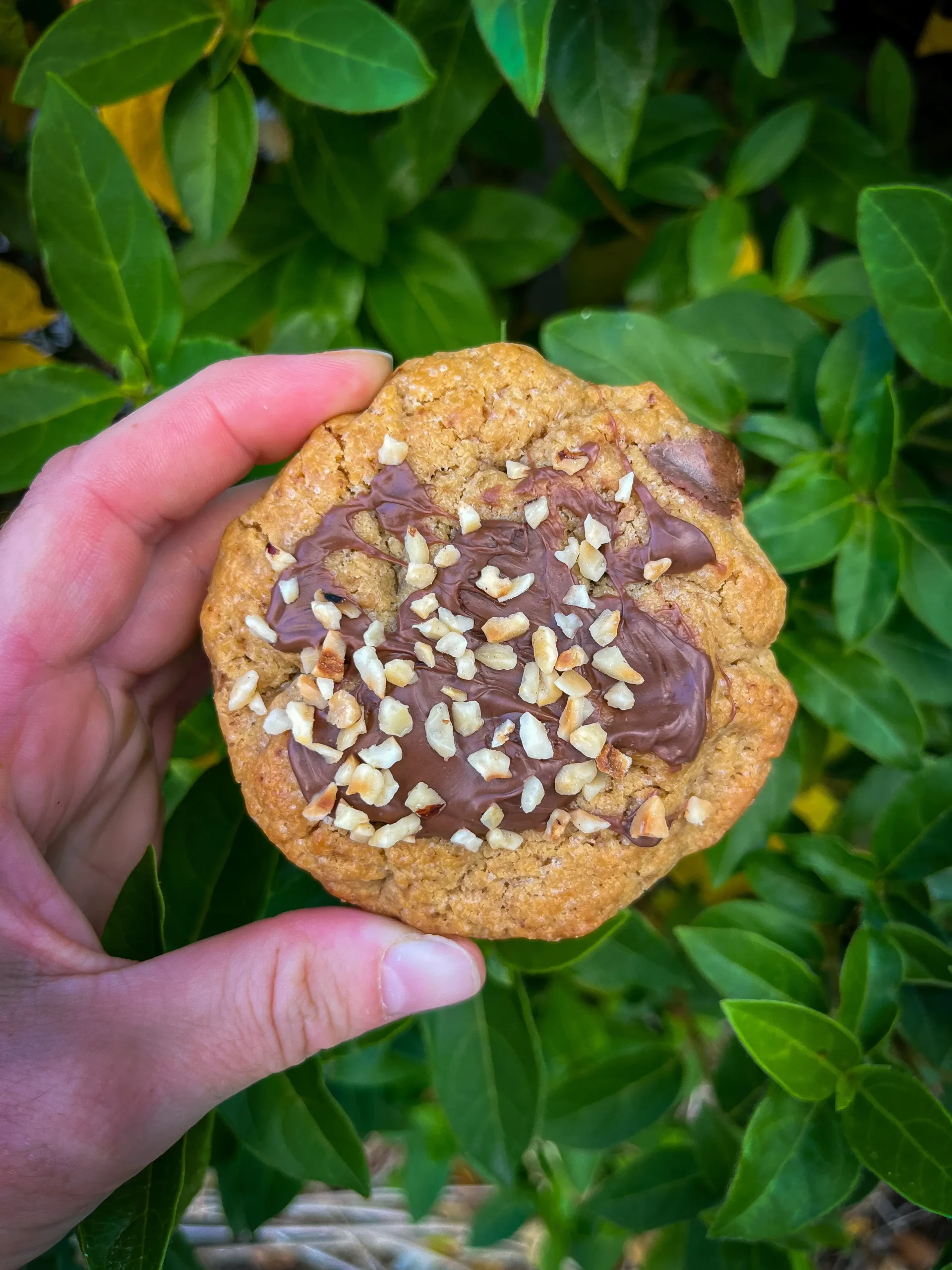 Pâte à tartiner